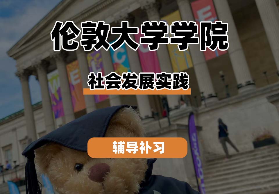伦敦大学学院UCL社会发展实践辅导补习补课