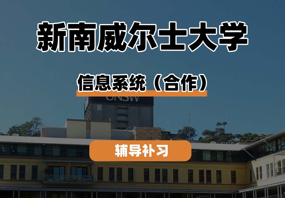 新南威尔士大学UNSW信息系统（合作）辅导补习补课