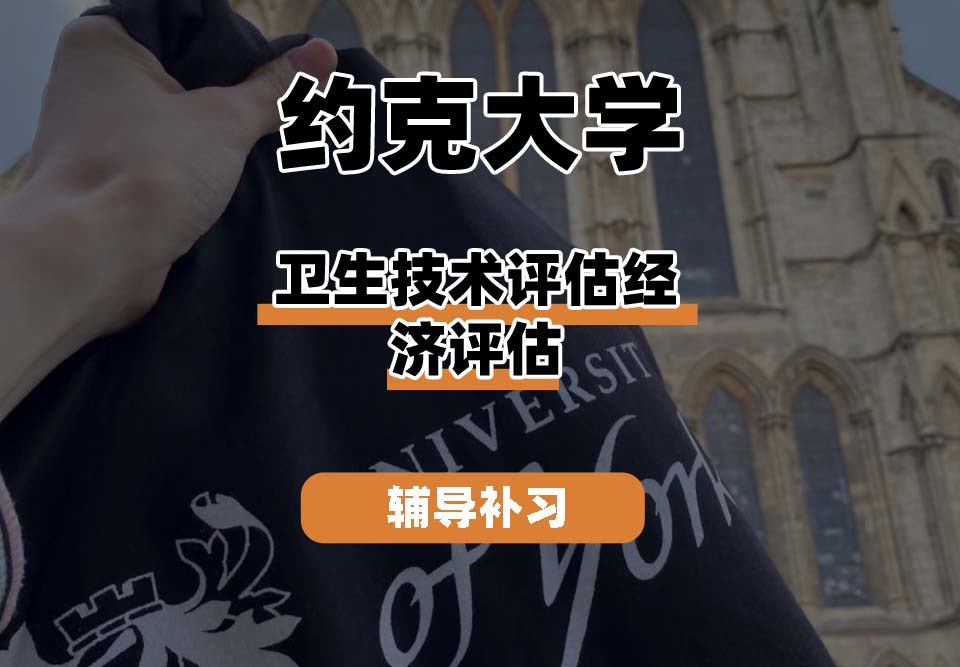 约克大学UOY卫生技术评估经济评估辅导补习补课