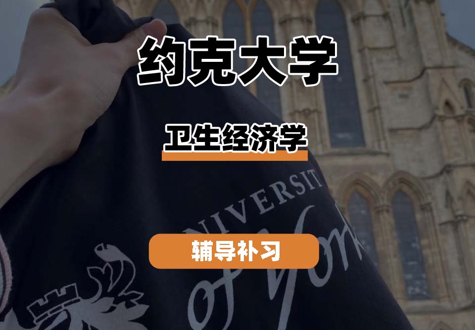约克大学UOY卫生经济学辅导补习补课