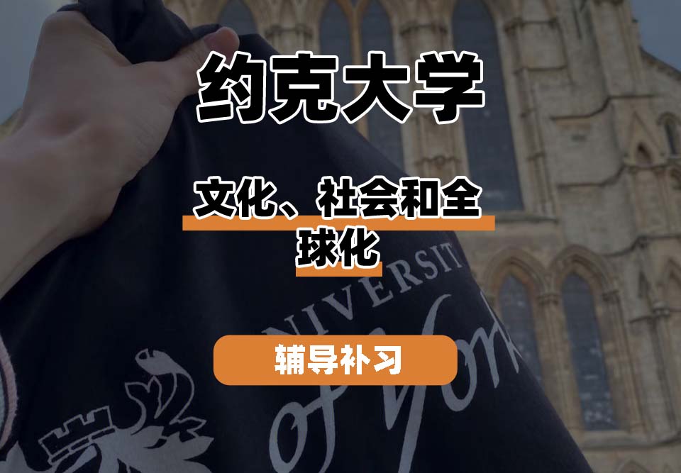 约克大学UOY文化、社会和全球化辅导补习补课