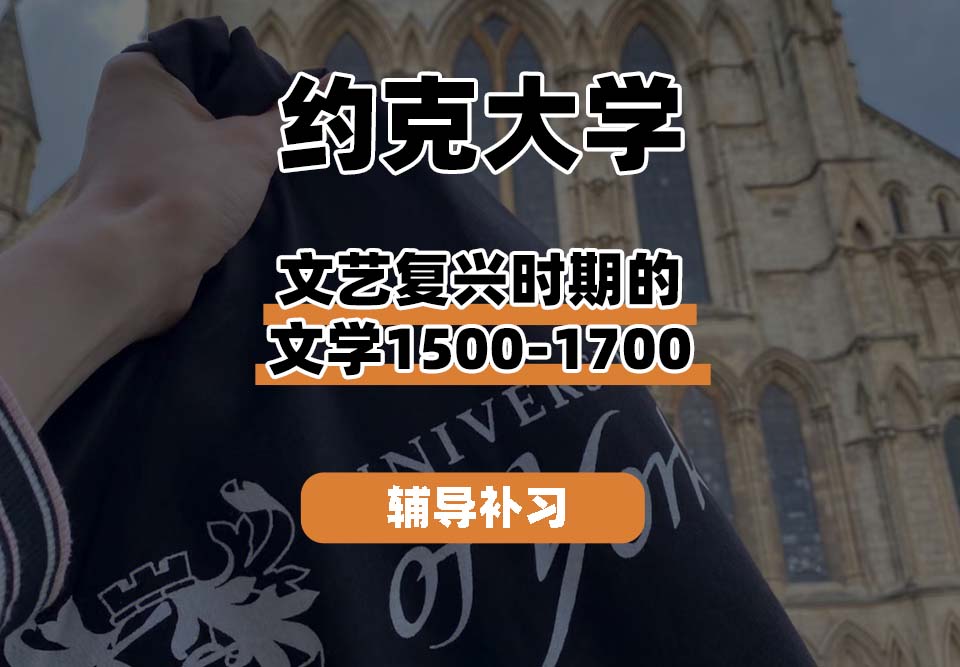 约克大学UOY文艺复兴时期的文学1500-1700辅导补习补课