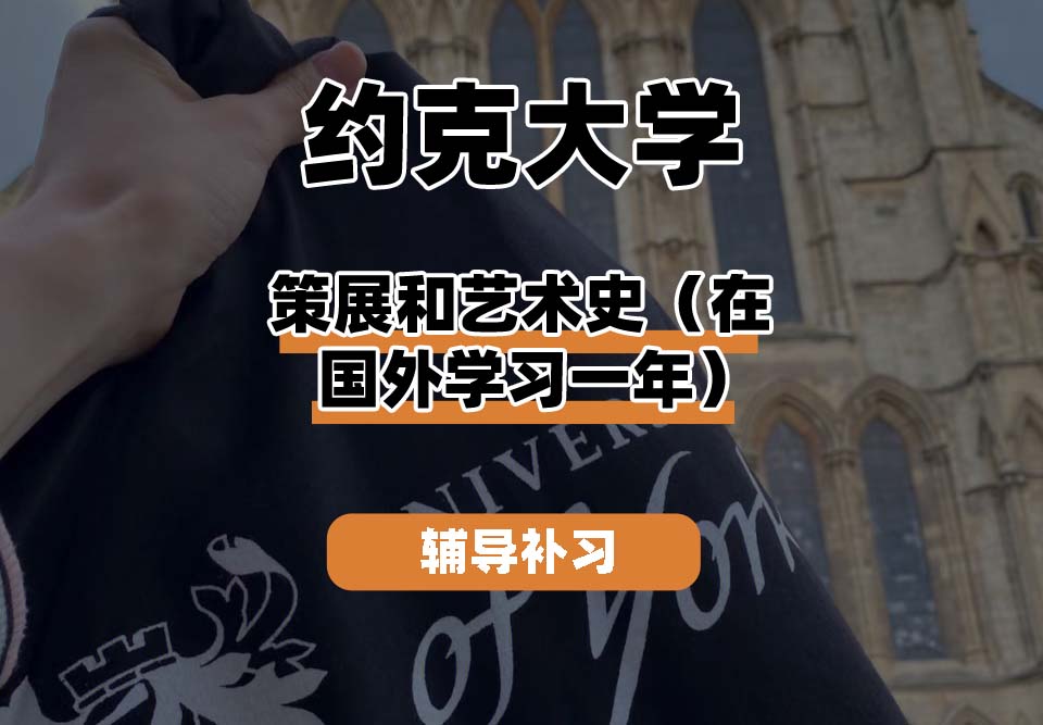 约克大学UOY策展和艺术史（在国外学习一年）辅导补习补课
