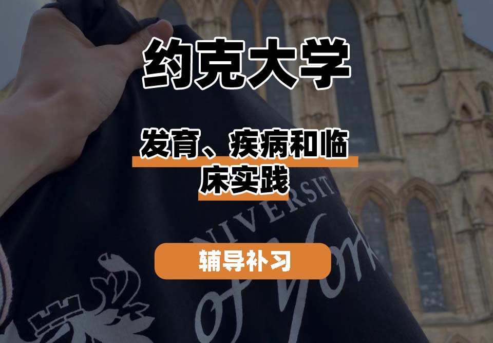 约克大学UOY发育、疾病和临床实践辅导补习补课