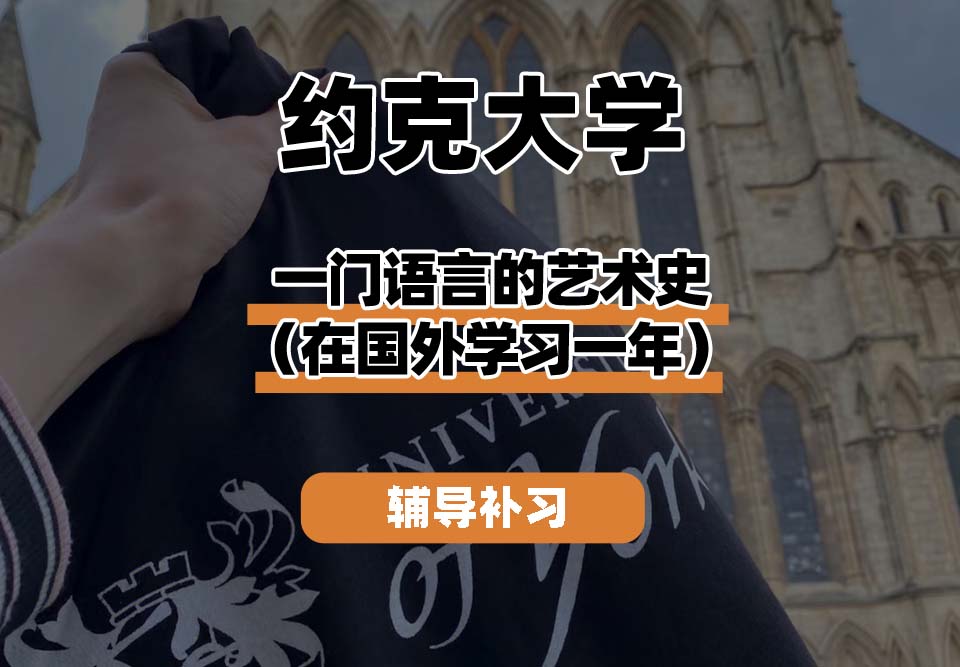 约克大学UOY一门语言的艺术史（在国外学习一年）辅导补习补课