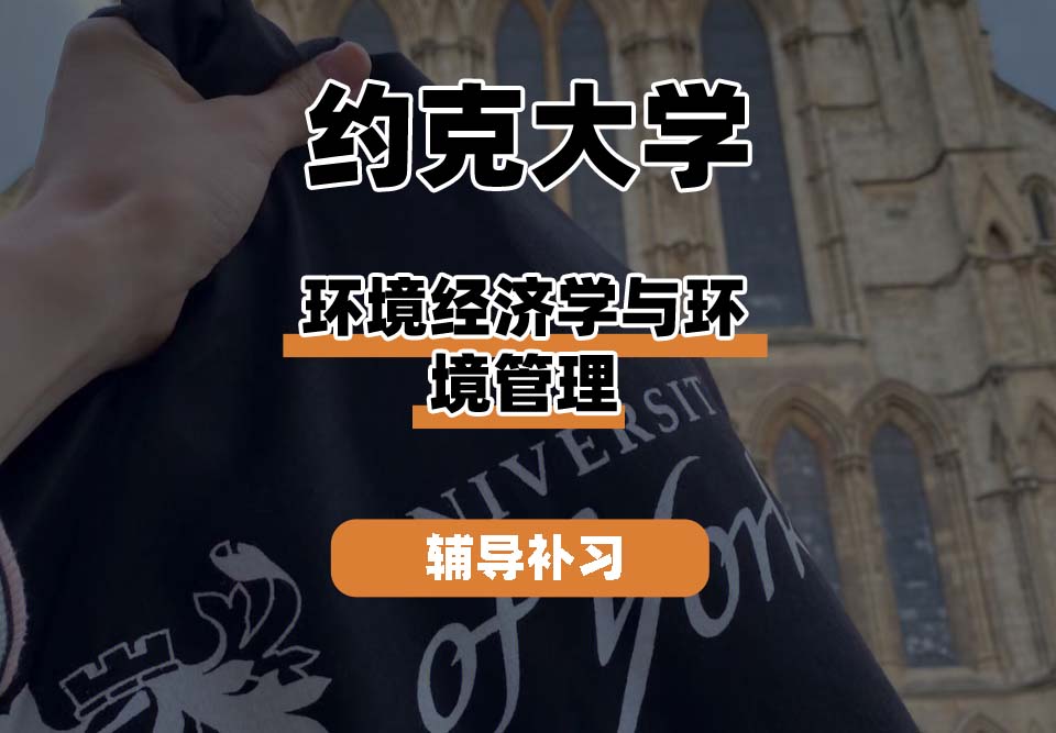 约克大学UOY环境经济学与环境管理辅导补习补课