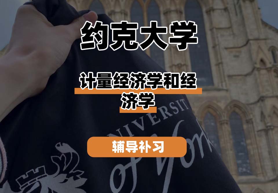 约克大学UOY计量经济学和经济学辅导补习补课