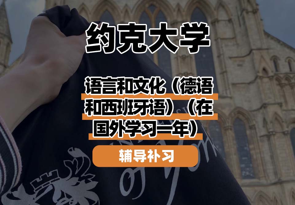 约克大学UOY语言和文化（德语和西班牙语）（在国外学习一年）辅导补习补课