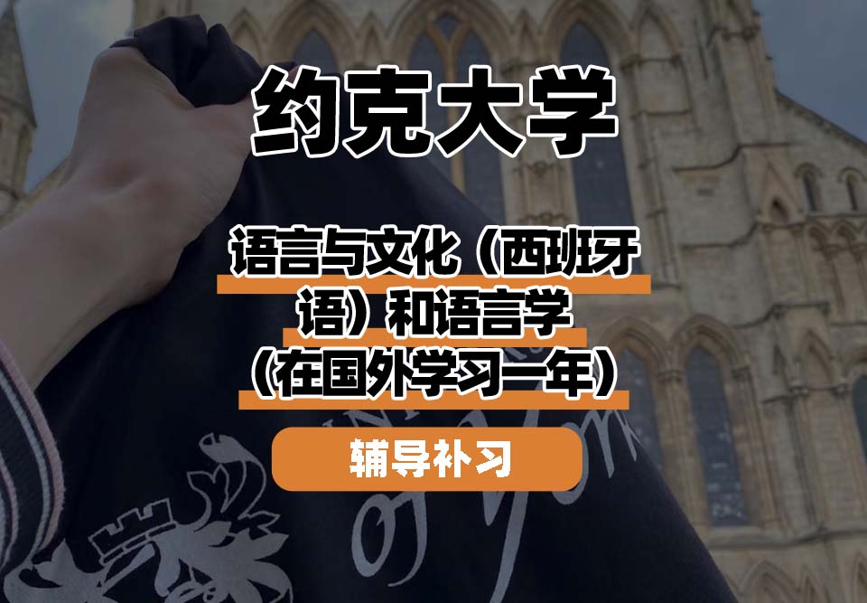 约克大学UOY语言与文化（西班牙语）和语言学（在国外学习一年）辅导补习补课