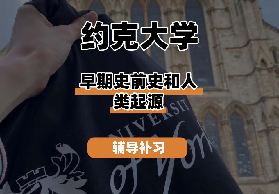 约克大学UOY早期史前史和人类起源辅导补习补课