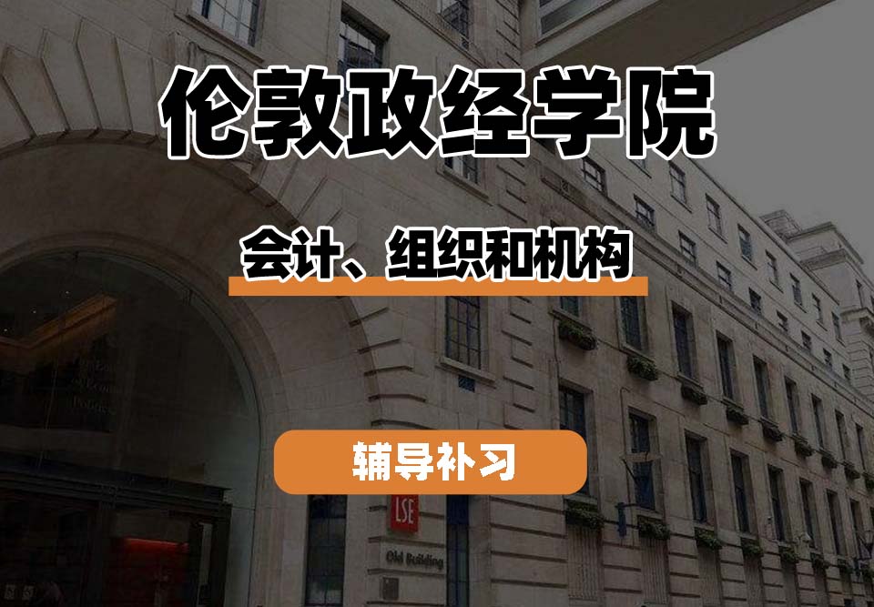 伦敦政经学院LSE伦敦政经会计、组织和机构辅导补习补课