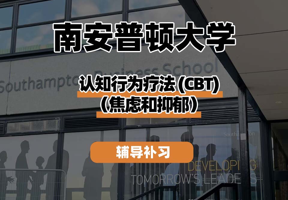 南安普顿大学Soton南安认知行为疗法 (CBT)(焦虑和抑郁)辅导补习补课