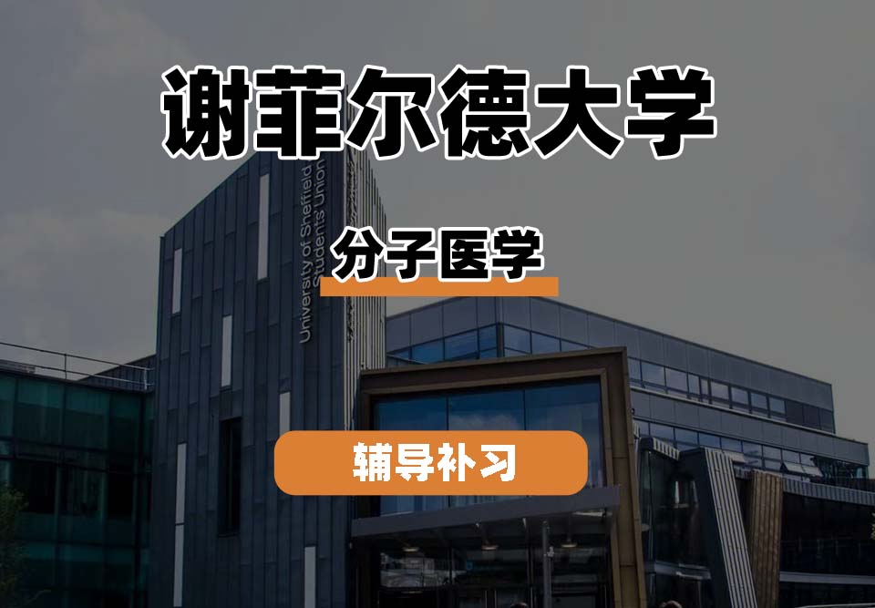 谢菲尔德大学TUoS谢大分子医学辅导补习补课