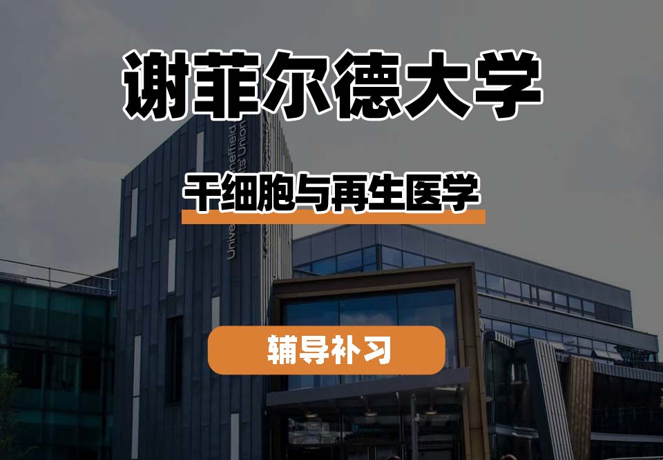 谢菲尔德大学TUoS谢大干细胞与再生医学辅导补习补课