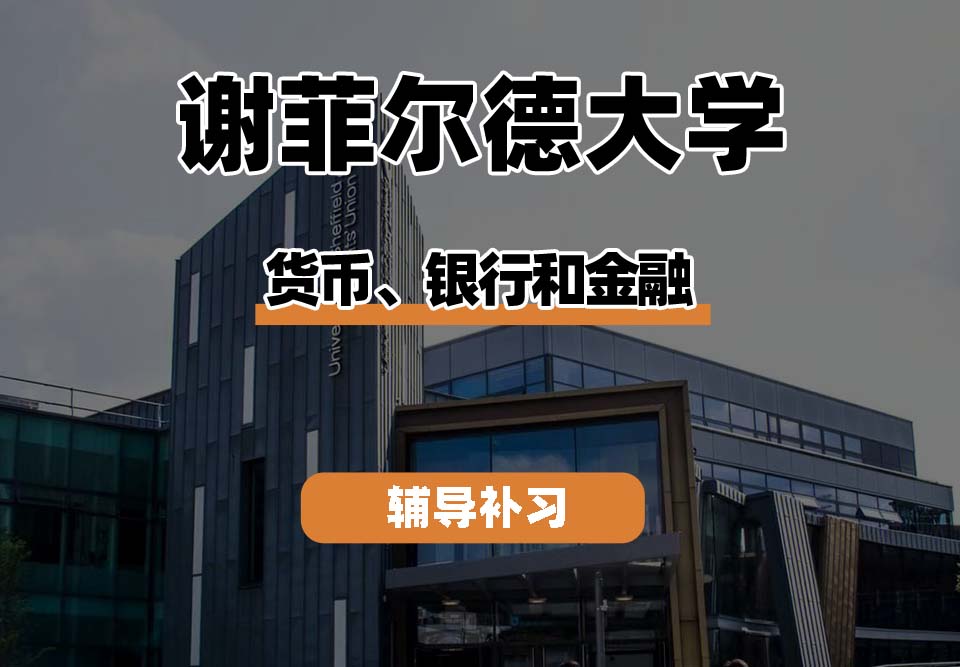 谢菲尔德大学TUoS谢大货币、银行和金融辅导补习补课