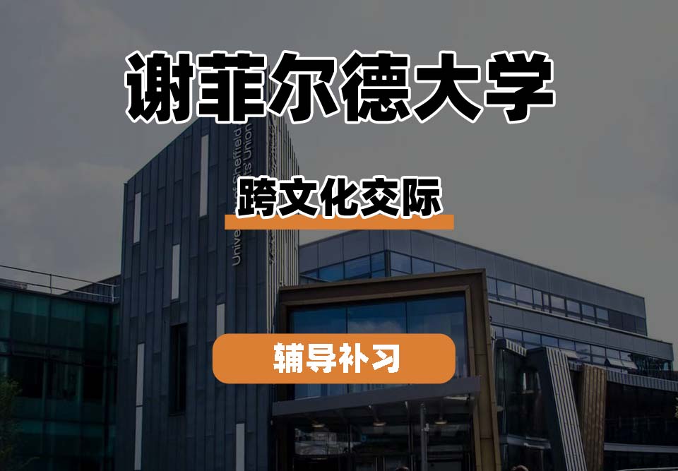 谢菲尔德大学TUoS谢大跨文化交际辅导补习补课