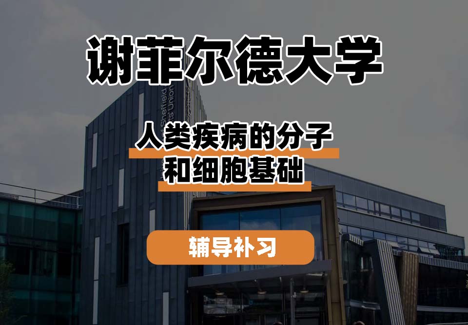 谢菲尔德大学TUoS谢大人类疾病的分子和细胞基础辅导补习补课