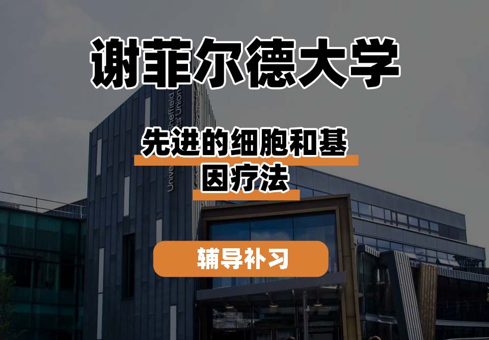 谢菲尔德大学TUoS谢大先进的细胞和基因疗法辅导补习补课