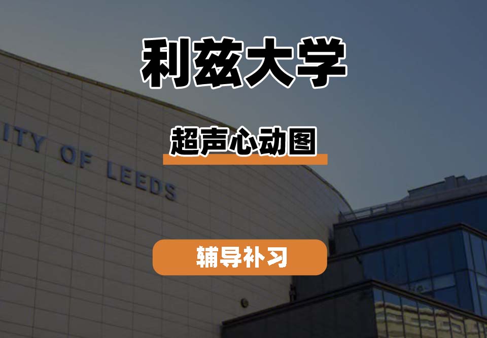 利兹大学leeds超声心动图辅导补习补课