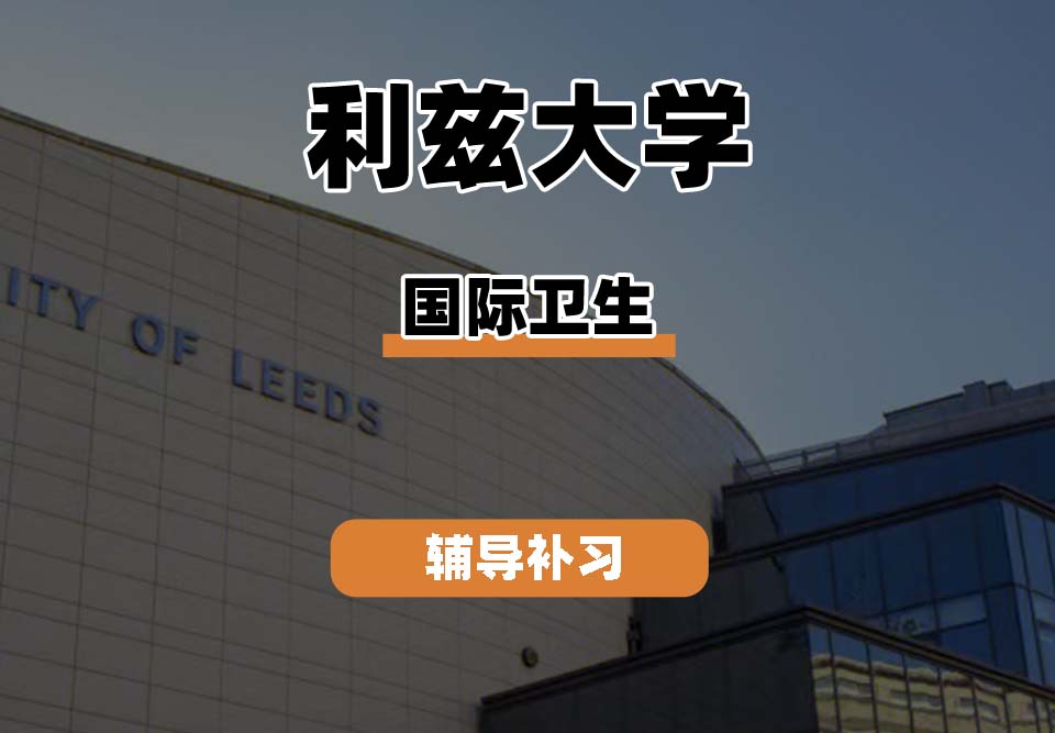 利兹大学Leeds国际卫生辅导补习补课