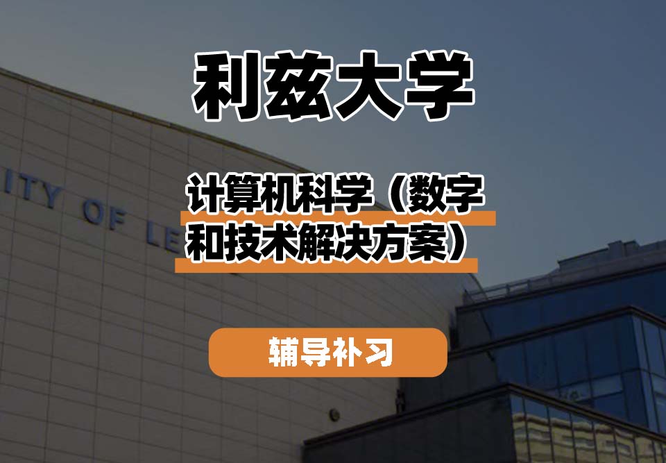 利兹大学leeds计算机科学(数字和技术解决方案)辅导补习补课