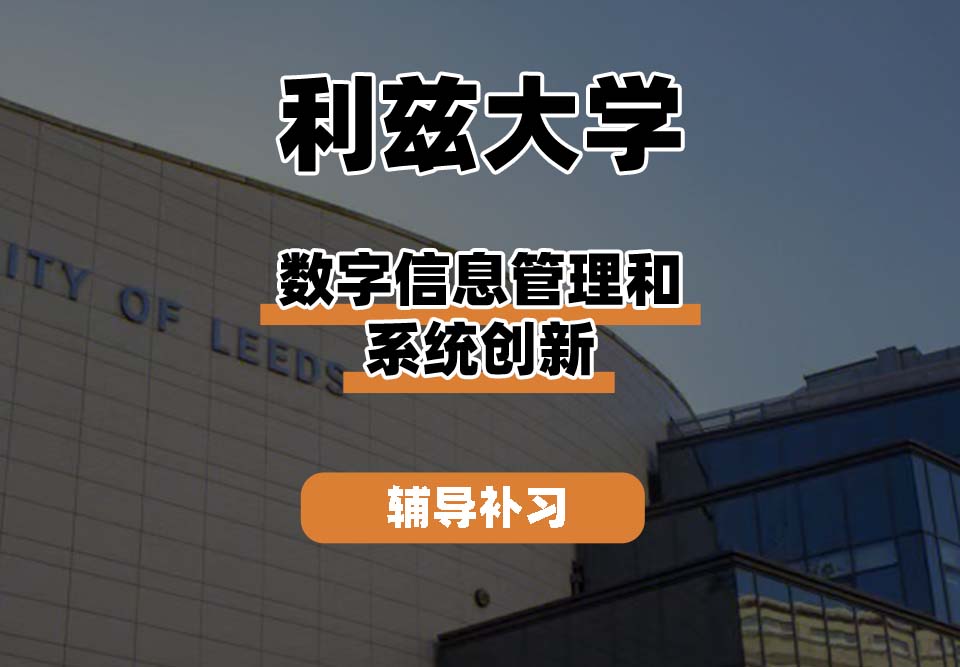 利兹大学leeds数字信息管理和系统创新辅导补习补课