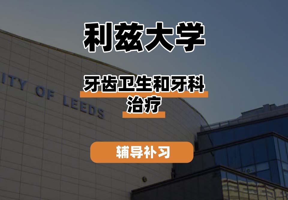 利兹大学leeds牙齿卫生和牙科治疗辅导补习补课