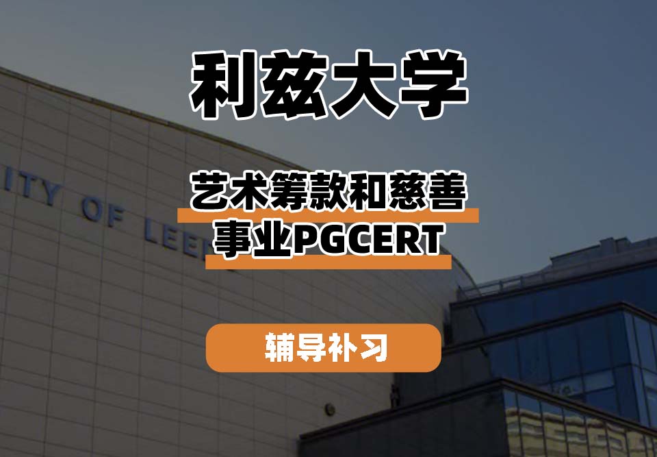 利兹大学leeds艺术筹款和慈善事业辅导补习补课