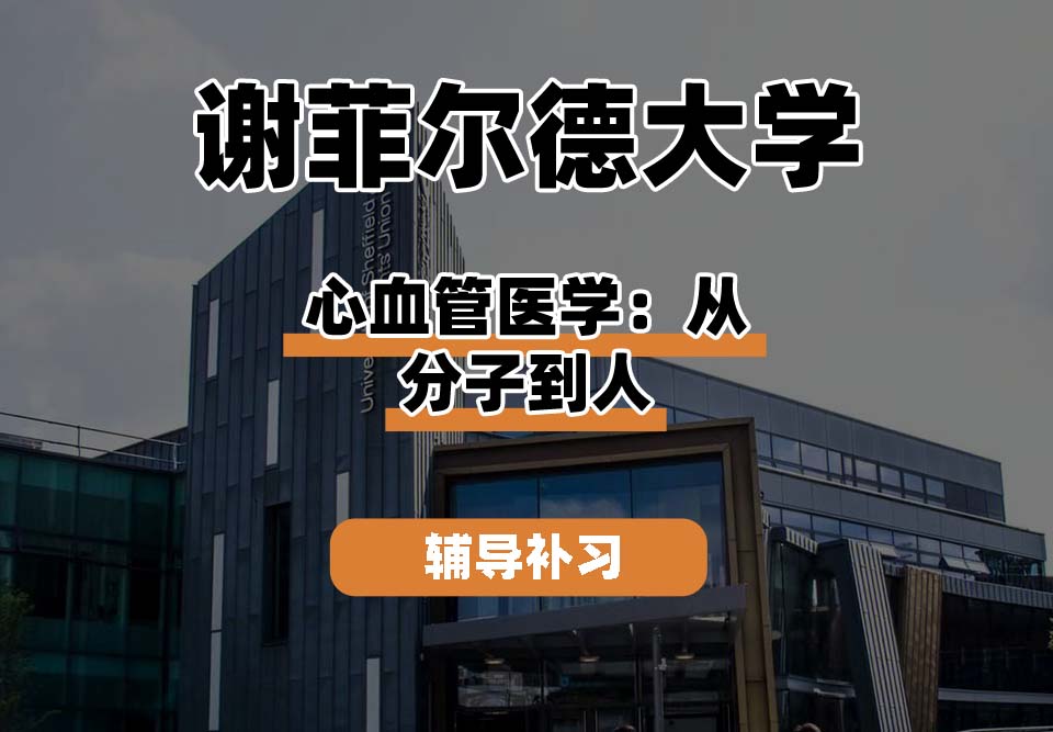 谢菲尔德大学TUoS谢大心血管医学：从分子到人辅导补习补课