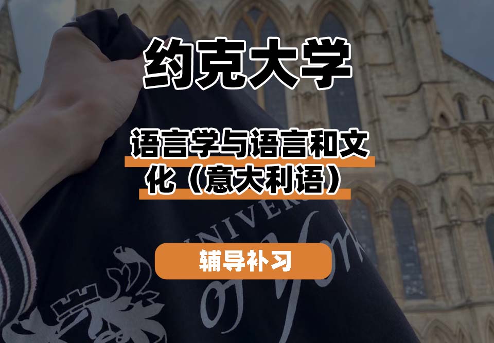 约克大学UOY语言学与语言和文化(意大利语)辅导补习补课