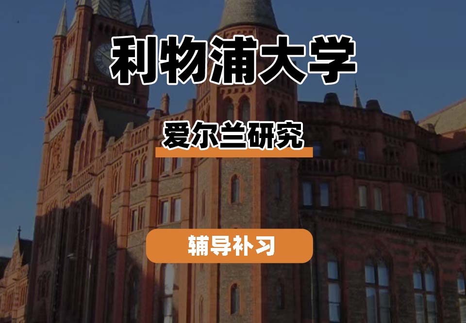 利物浦大学UOL利大爱尔兰研究辅导补习补课
