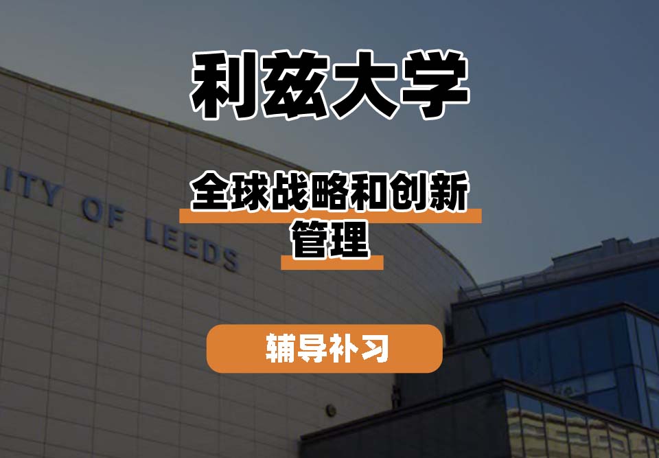 利兹大学leeds全球战略与创新管理辅导补习补课