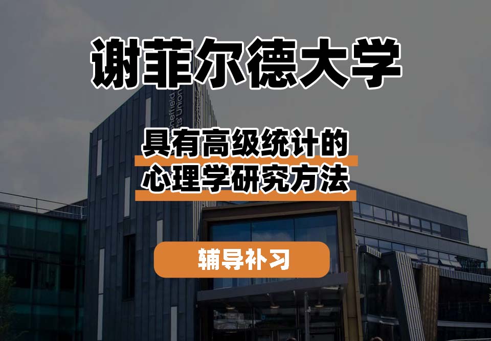 谢菲尔德大学TUoS谢大具有高级统计的心理学研究方法辅导补习补课