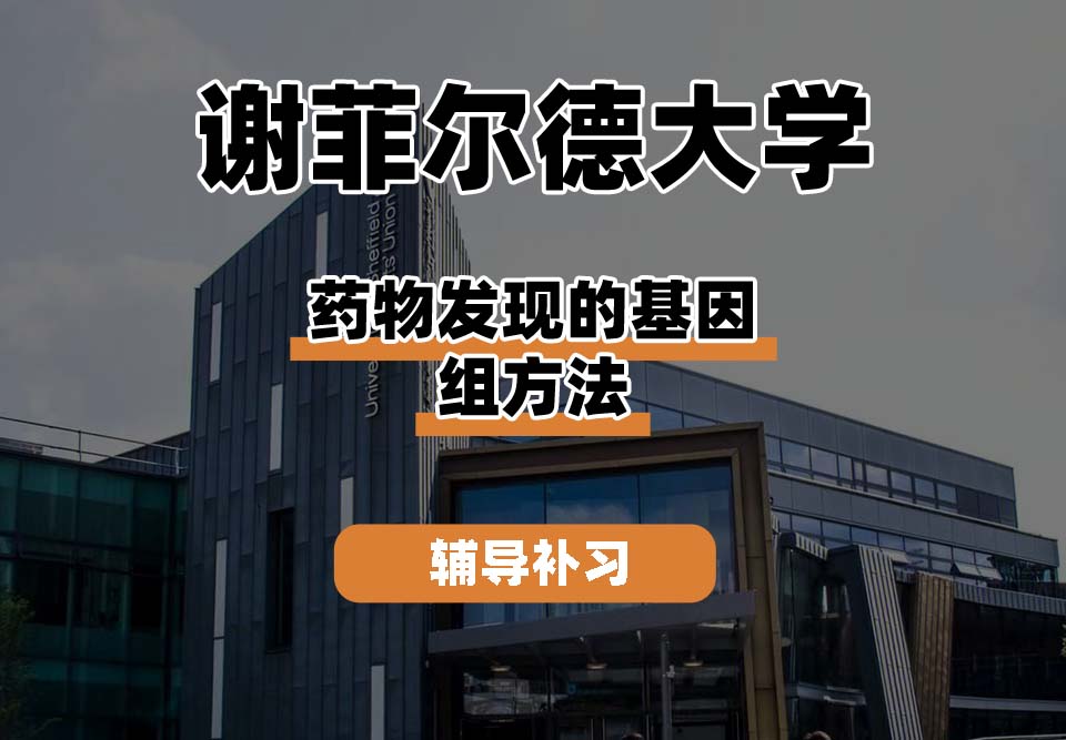 谢菲尔德大学TUoS谢大药物发现的基因组方法辅导补习补课