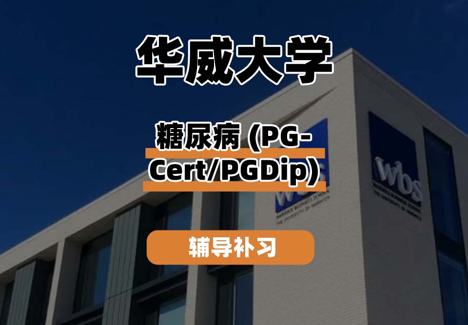 华威大学Warwick华威糖尿病辅导补习补课