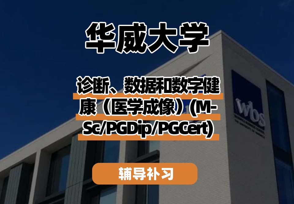 华威大学Warwick华威诊断、数据和数字健康（医学成像）辅导补习补课