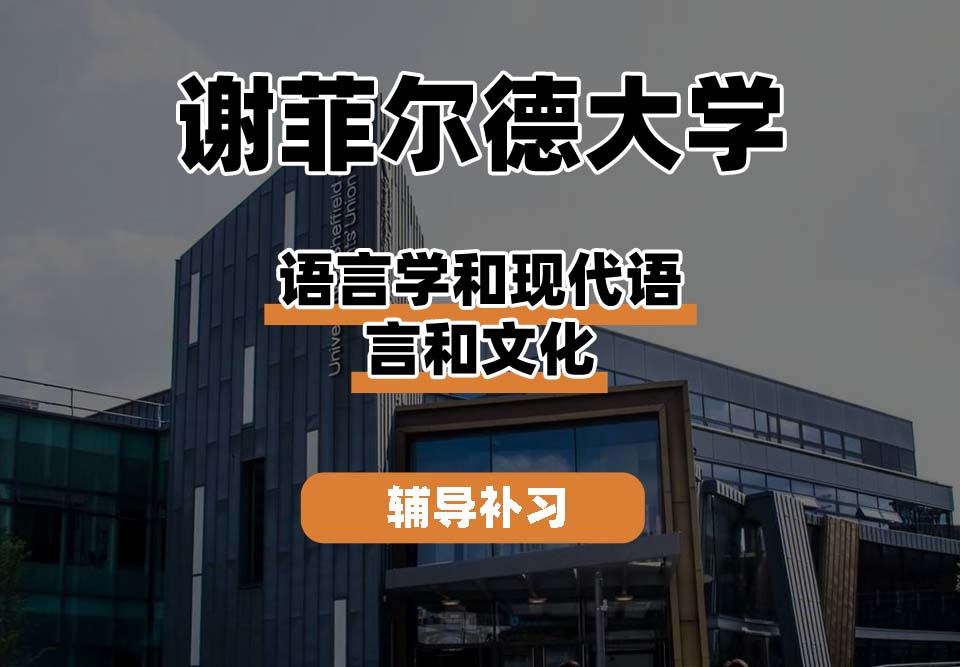谢菲尔德大学TUoS谢大语言学和现代语言和文化辅导补习补课