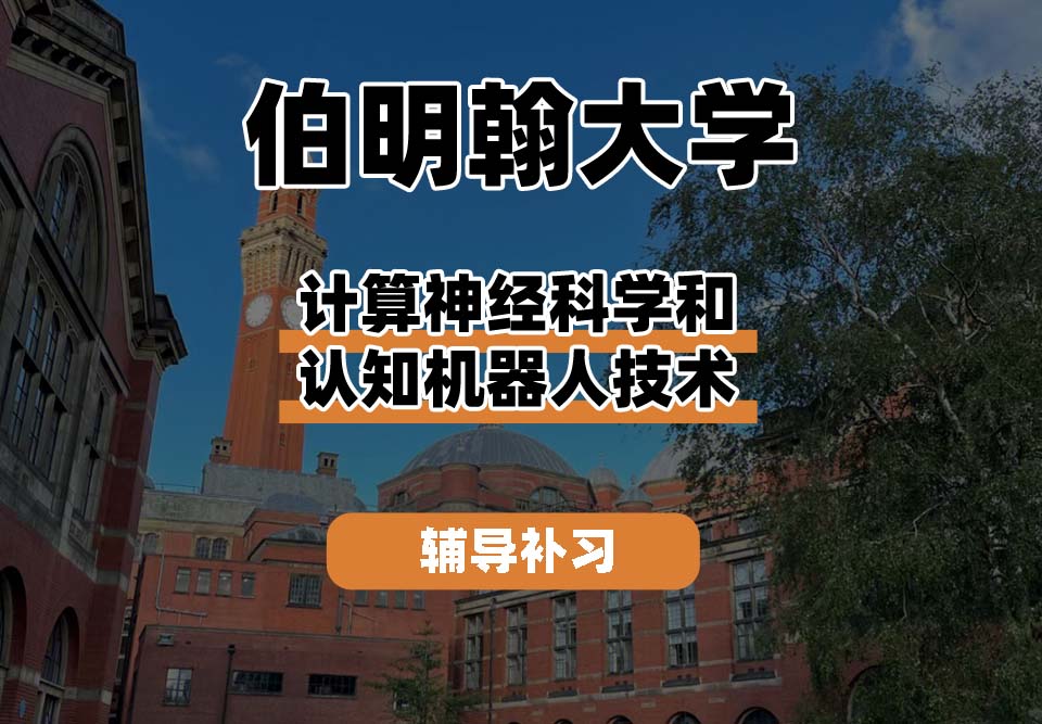 伯明翰大学UOB伯大计算神经科学和认知机器人技术辅导补习补课