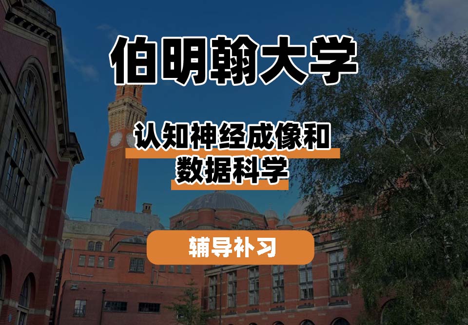 伯明翰大学UOB伯大认知神经成像和数据科学辅导补习补课