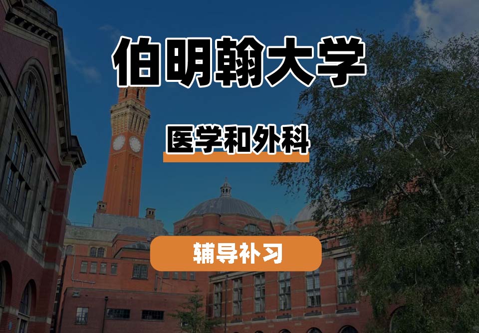 伯明翰大学UOB伯大医学和外科辅导补习补课