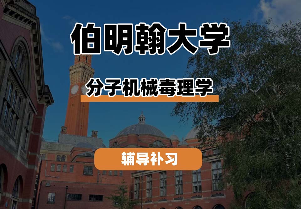 伯明翰大学UOB伯大分子机制毒理学辅导补习补课