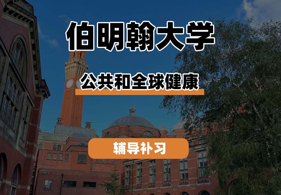 伯明翰大学UOB伯大公共和全球健康科学辅导补习补课