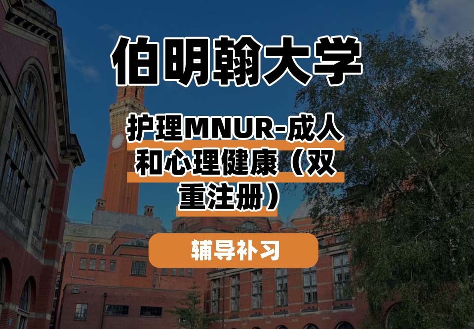 伯明翰大学UOB伯大护理成人和心理健康辅导补习补课