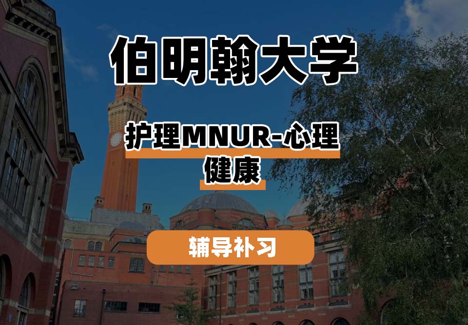 伯明翰大学UOB伯大护理心理健康辅导补习补课