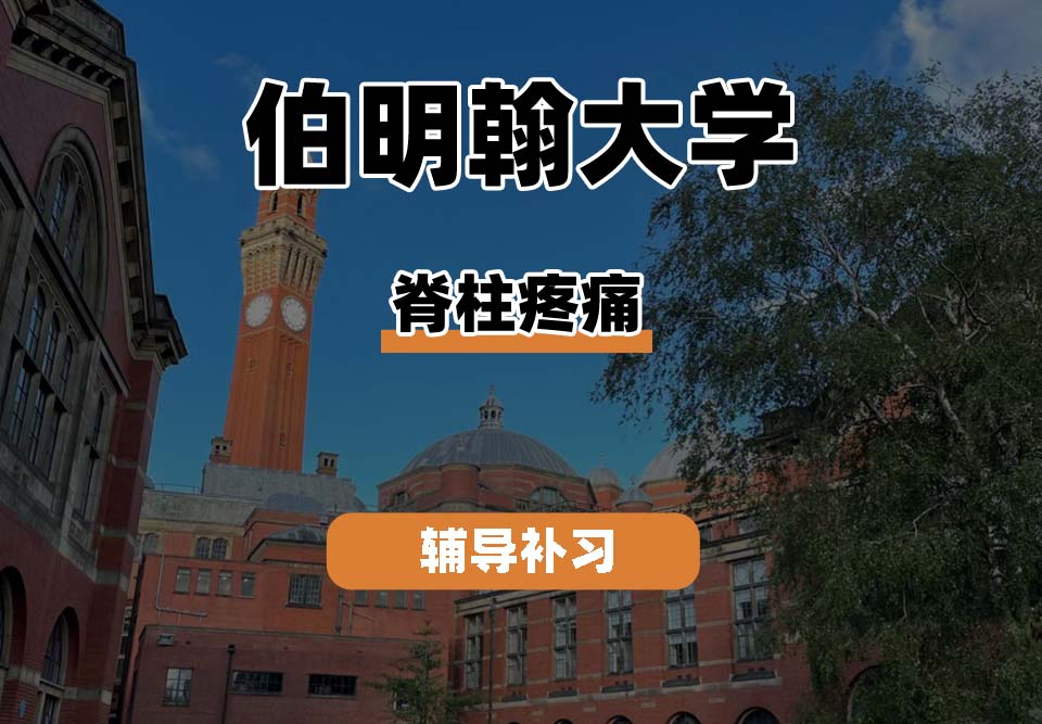 伯明翰大学UOB伯大脊柱疼痛辅导补习补课