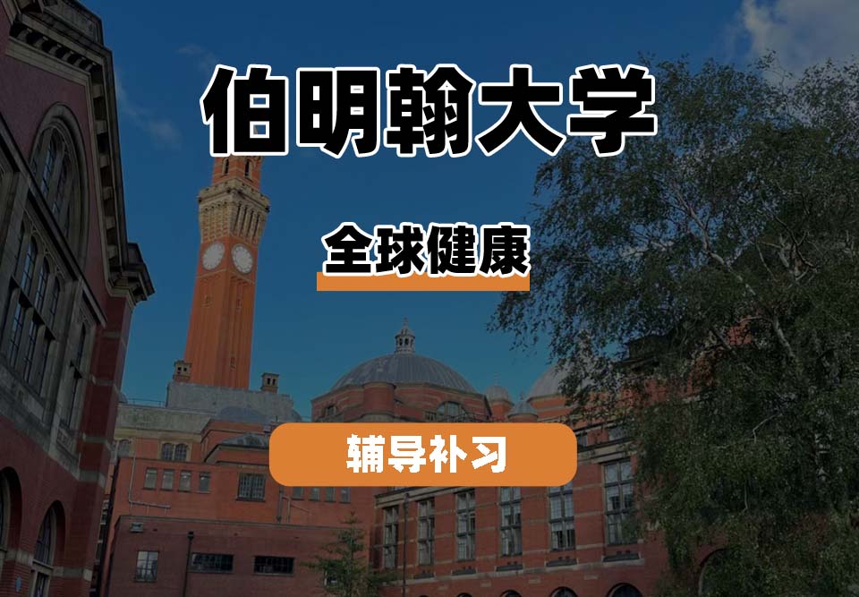 伯明翰大学UOB伯大全球健康辅导补习补课