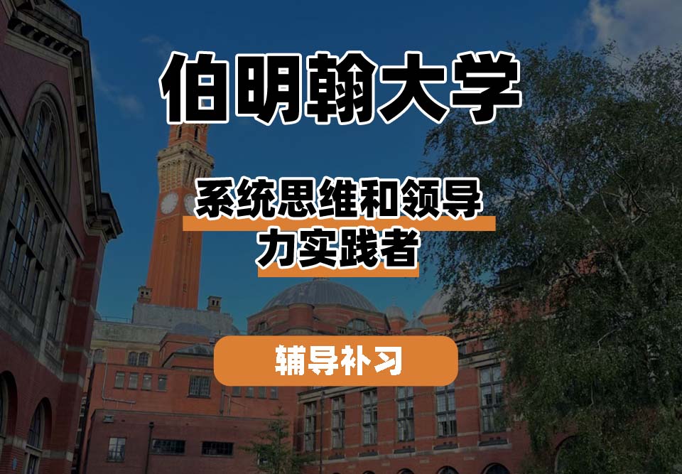 伯明翰大学UOB伯大系统思维和领导力实践者辅导补习补课
