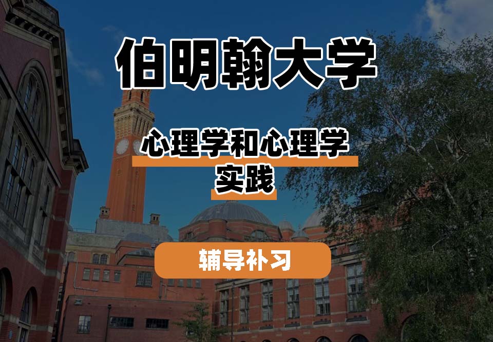 伯明翰大学UOB伯大心理学和心理学实践辅导补习补课