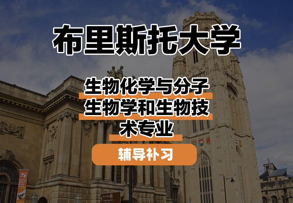 布里斯托大学Bristol布大生物化学与分子生物学和生物技术辅导补习补课