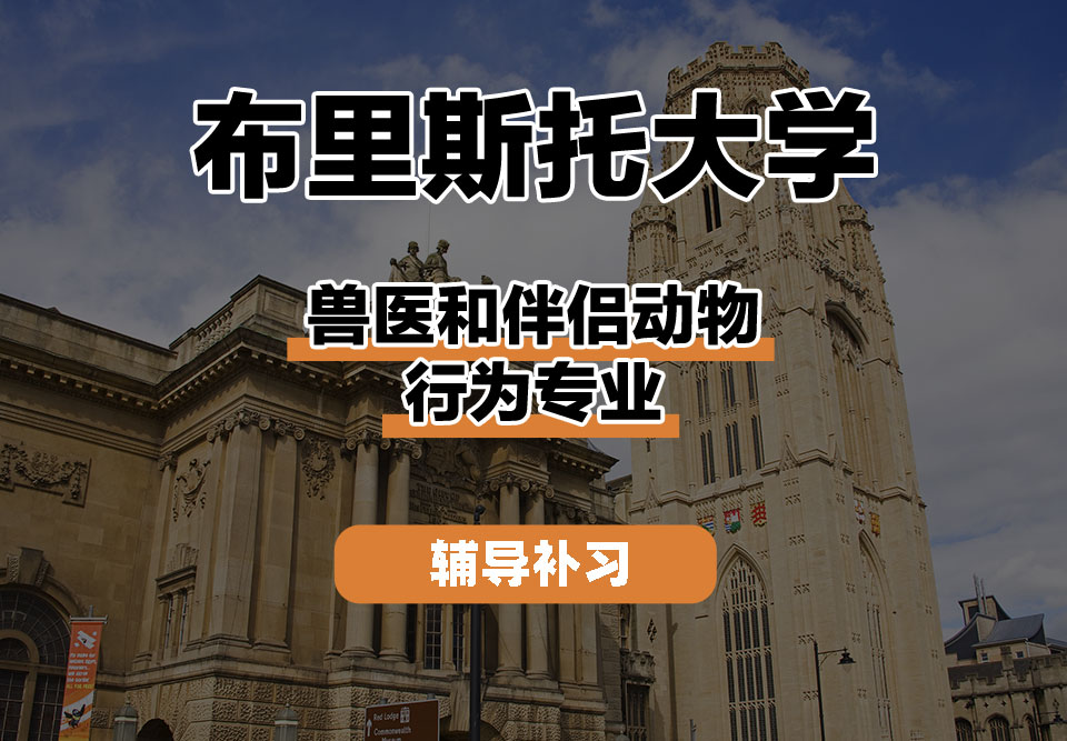 布里斯托大学Bristol布大兽医和伴侣动物行为辅导补习补课